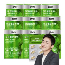 GNM 징코빌로바11 / 은행잎추출물 비타민B 아연 판토텐산, 30정, 9개