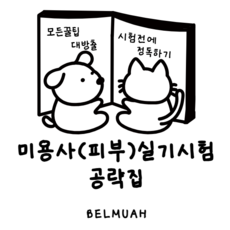 피부관리사공략집 국가고시 공략집 피부관리국가고시 피부관리공략집