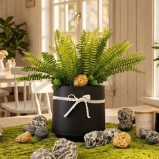 인테리어 조경 플랜테리어 화분 실내 테이블플랜트 인조 조화 테이블화분, 1개, 네프로레피스