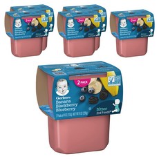 거버 어린이 액상 식품 113g 2개입, 바나나 믹스드 베리(Banana Mixed Berries), 226g, 6개
