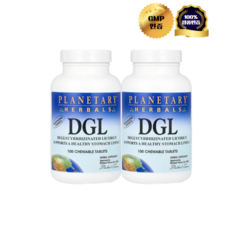 1+1 플래니터리 허벌 감초추출물 DGL 380mg 츄어블 100정, 2개