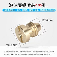 PA泡沫壺配件 臺南出貨 專用髮泡網 適用臺州壺 洗車機泡沫壺, 噴芯0.95孔徑1個