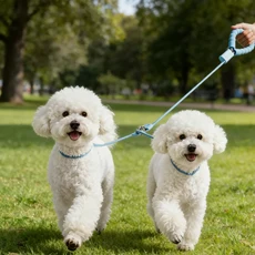 1피스 블루 도그 리쉬 Y자형 동시에 두 마리의 개를 끌 수 있으며 편리하고 시간을 절약하며 노력을 절약합, 01 1PCS
