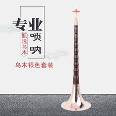 嗩吶 專業 烏木, 1個, 銀色套裝嗩吶,小嗩吶F調桿子長21厘米+初學套餐