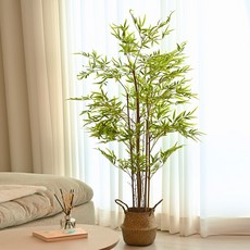 아르띠콜로 인조 대나무화분+해초바구니세트, 150cm, 1개, 150cm