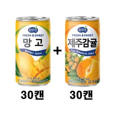 참맑은 망고 175ml + 참맑은 제주감귤 175ml, 60개