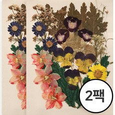 체크스토리 압화 대만압화 압화편지 청첩장액자 압화공예 압화수업 압화케이스, 컬러혼합