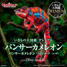 萬代 生物大圖鑑 PREMIUM 豹紋變色龍 (安比諾貝・紅), 1個