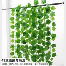 優選樂購 仿真藤條 綠蘿葉裝飾 綠藤藤蔓 假樹葉 塑膠花藤 水管道遮擋 空調遮擋 仿真綠葉花, 48葉過膠葡萄葉5條, 1個