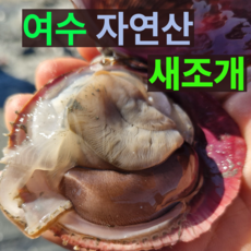 [제철특가] 자연산 여수 새조개 특품 손질새조개, 1개, 200g