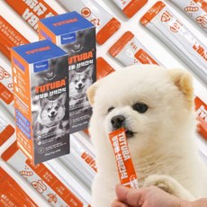 강아지 장염 구토 설사할때 소화불량 종합 영양제 뚜뚜바, 관절+장건강, 2세트