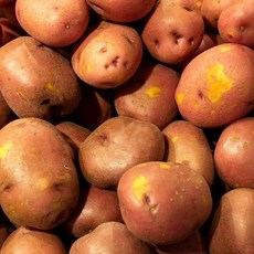 기타 국내산 포슬포슬 붉은 홍감자 분감자 특 5kg, 1박스