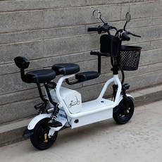 리틀할리 전동 스쿠터 어른 리튬 전지 레이디스 미니 전기차 소형 배터리 자동차, 48V, 2인승 20AH (100-110km)