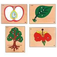 몬테소리 식물퍼즐세트 C0226, 1개