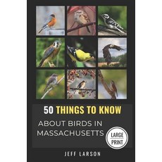 (영문도서)50 Things to Know About Birds in Massachusetts Large Print: Birding in the Bay S... Paperback, Independently Published, English, 9798299287769