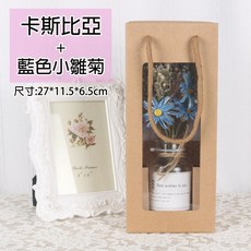 Life Master 乾燥花瓶禮盒組，附手提袋，北歐風格居家裝飾, 精裝乾燥花瓶組 卡斯比亞+藍雛菊