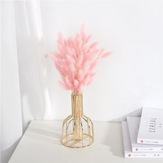 가팡 드라이 플라워 토끼풀, 5번