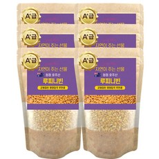 에코홀릭 루피니빈 호주산 루피니빈콩 루핀콩, 6개, 1kg