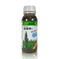 亞積 瑪雅野生原種鼠尾草籽(頂級奇亞籽)430公克/罐, 430g, 1個