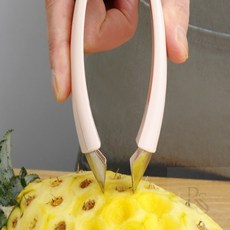 베네몰 파인애플 껍질 제거기 방울토마토꼭지제거기