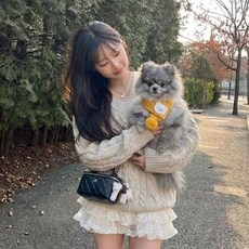 예보들 강아지 고양이 니트 목도리 악세서리, 1개, 엘로우