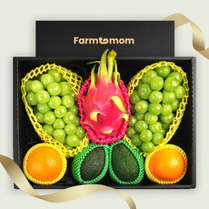 [일품1호] 과일 혼합 선물세트 (샤인2+오렌지2+용과1+아보카도2), 1개