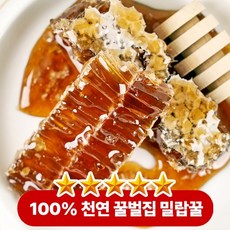 [재구매1위]입안 가득 퍼지는 진하고 풍부한 단맛 천연밀랍 허니베어 벌집 꿀, 1박스, 1kg