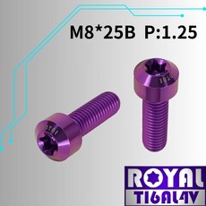 【瘋螺絲】ROYAL M8*25B P:1.25 錐形螺絲 64鈦/鈦合金螺絲 皇家紫