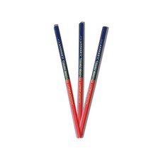 방통 양면 색연필 레드 블루