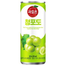 해태 과일촌 드링크 청포도 캔음료, 12개, 240ml