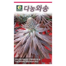 다농 와송 씨앗 3000p, 2개