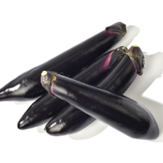 국내산 신선한 가지 수확 특 2kg, 1개, 가지 2kg (특)