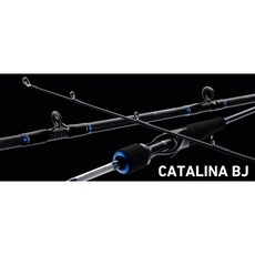 DAIWA CATALINA BJ 66HS 單節鐵板竿 公司貨
