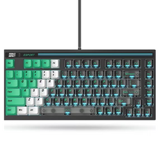 에이포테크 LK75Q RGB 게이밍 기계식 유선 키보드, 그린 트라이앵글, 광축, 제조사축 그린 트라이앵글, 광축, 제조사축