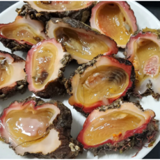 [산지직송] 거제 해녀가 잡는 자연산 돌멍게 제철해산물, 1개, 돌멍게 1kg