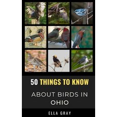 (영문도서) 50 Things to Know About Birds in Ohio: Birding in the Buckeye State Paperback, Independently Published, English, 9798525596467