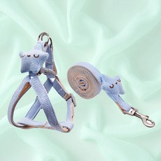가벼운 고양이 강아지 자동줄 귀여운 중형견 개줄 개줄, 블루