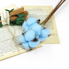 천일홍 니겔라 목화 아마줄기 라벤더 드라이플라워 프리저브드플라워 미니꽃다발 말린꽃, 목화 블루