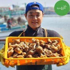 골뱅이 백골뱅이 동해 백고동 생물 참 통골뱅이 탕 자연산 제철 500g 1kg, 1개, 자숙 백골뱅이+새콤달콤 골뱅이무침 소스 set