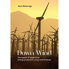 (영문도서) Down Wind Paperback, Obelisk, English, 9789464611342