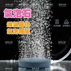 帥哥水族【爆氣霧化 氣泡細膩】氣泡盤 氣泡石 打氣石 打氣盤 增氧 氧氣 打氣機 氧氣石 打氣, 1個, 直徑4cm