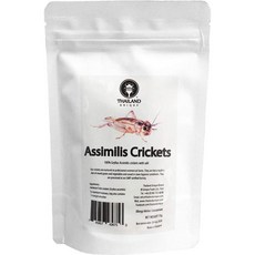 JR Unique Foods 일본직구 푸드 자메이카 크리켓 15g 곤충