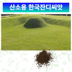 잔디씨 20g 한국형 조선잔디 묘지보수용