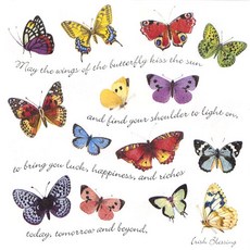 나비 냅킨 5장 K-09-040