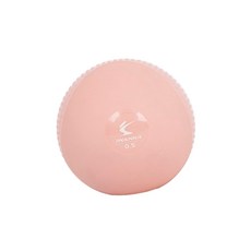 그니스토어 마사지볼 소프트 토닝볼 0.5kg x2개 요가용품 근육이완