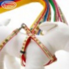 서락 러쉬독 칼라 x반도셋트 10mm 애견목줄세트