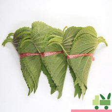 사라상회 깻잎 (50묶음) 1kg, 1개