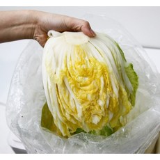 무조건 특등급 절임배추 최고의신선도만 취급해요, 절임배추 10kg 35포기 내외, 1개, 10kg