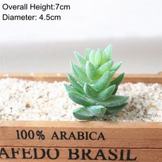 인공 다육 파티 장식 식물 풍경 연꽃 배열 가정 정원, Light G en SanZiTa