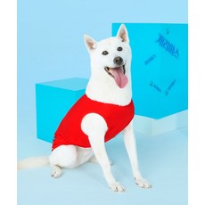 BYC 개리야스 보디드라이 쿨런닝 275400, S, S